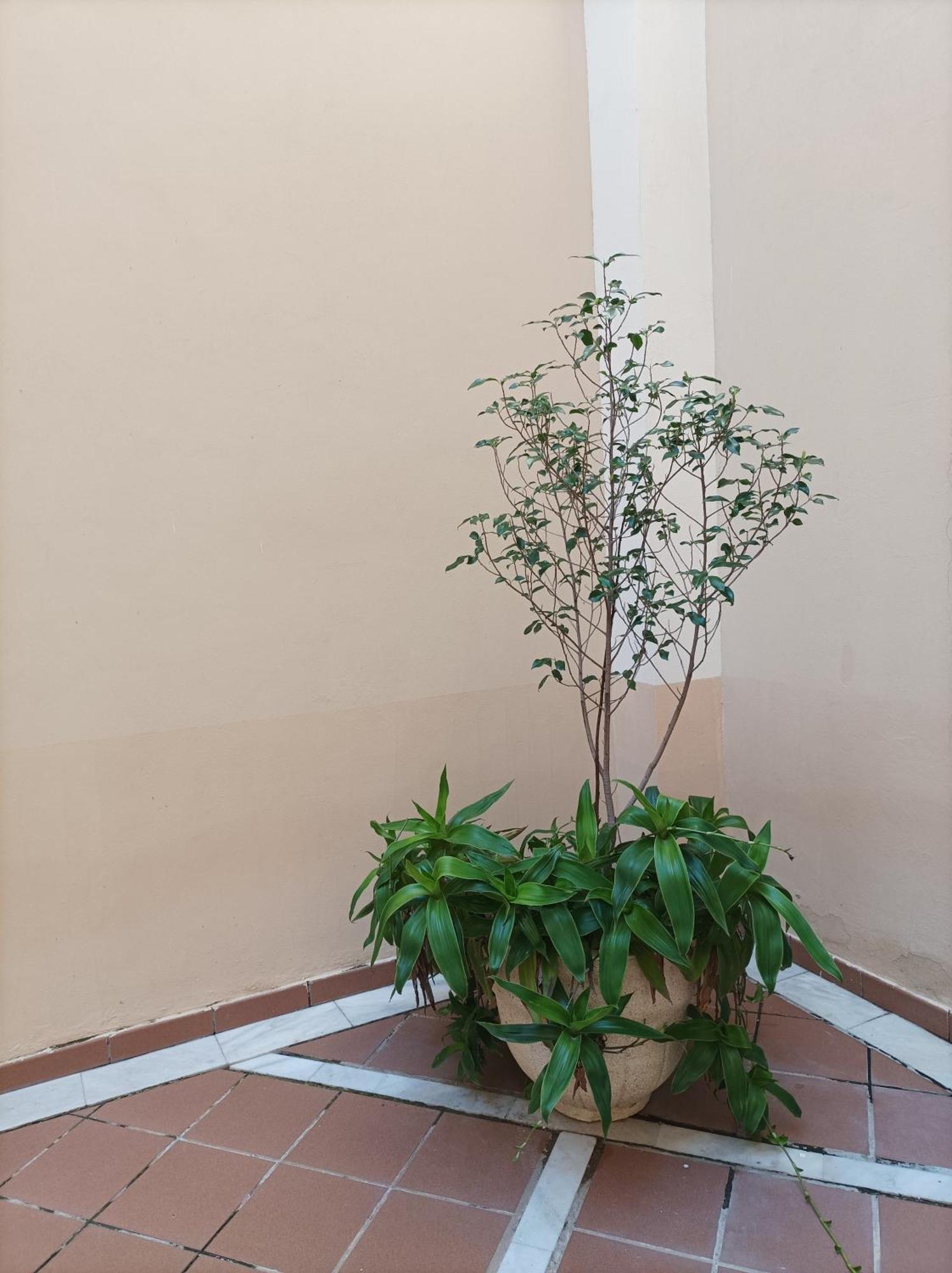 Apartamento De Lux Sevilla Este Экстерьер фото
